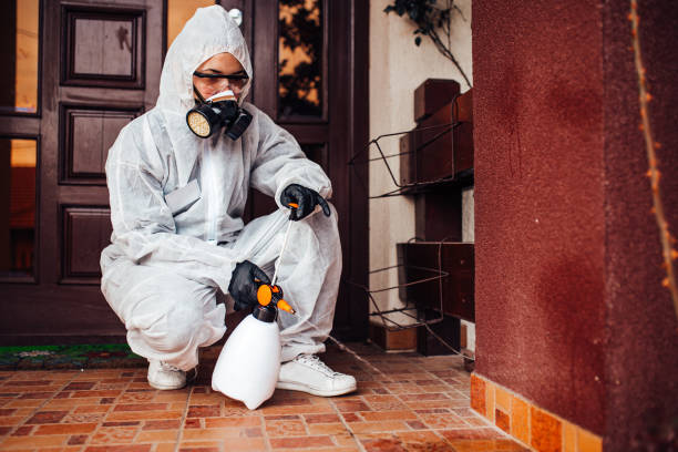 Attic and Crawl Space Rodent Treatment in Roan Mountain