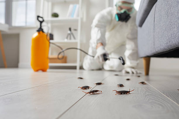 Commercial Rodent Management in Roan Mountain